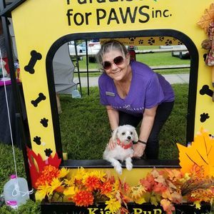 Meet your Posher, Frances